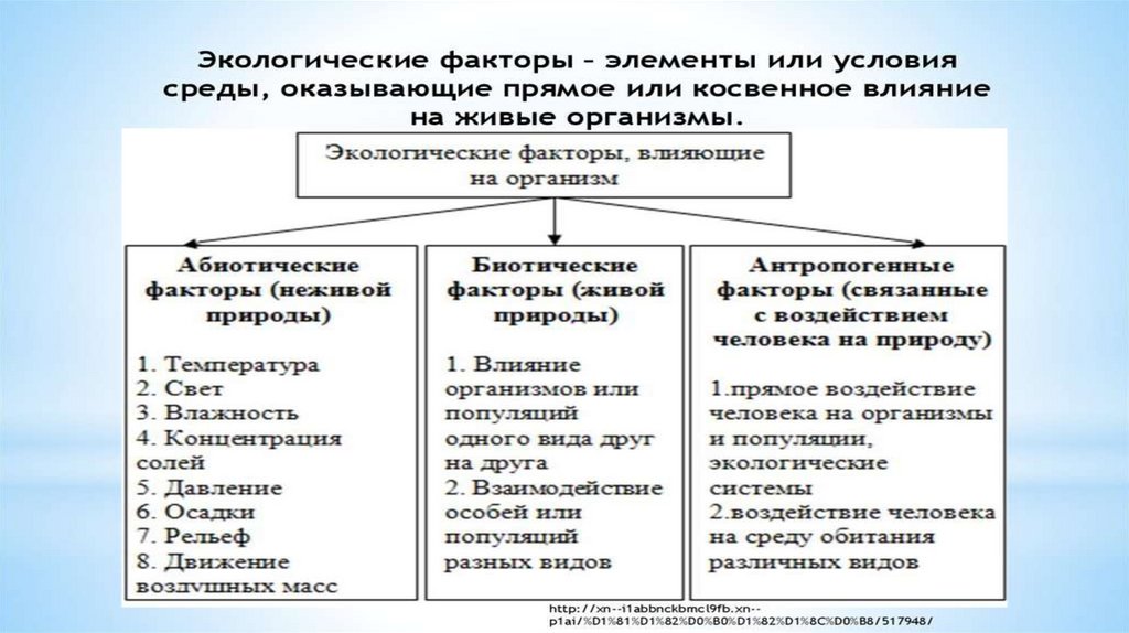 Группы экологических факторов 5 класс