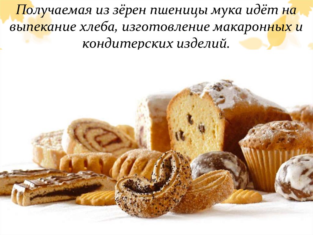 Получаемая из зёрен пшеницы мука идёт на выпекание хлеба, изготовление макаронных и кондитерских изделий.