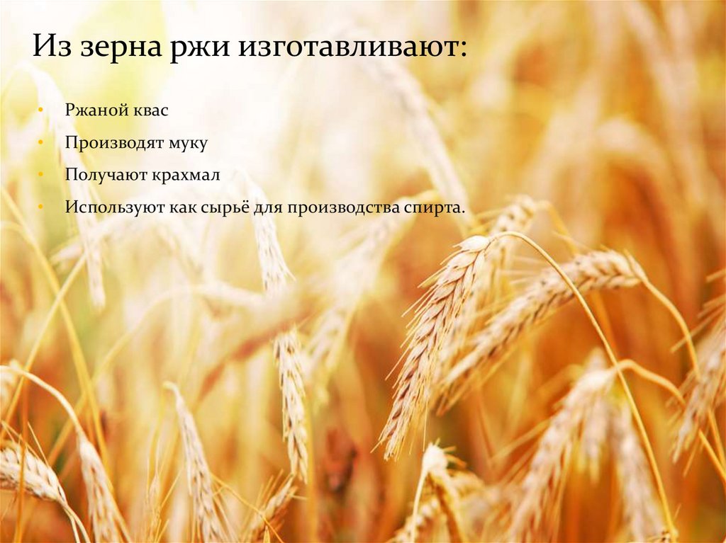 Из зерна ржи изготавливают: