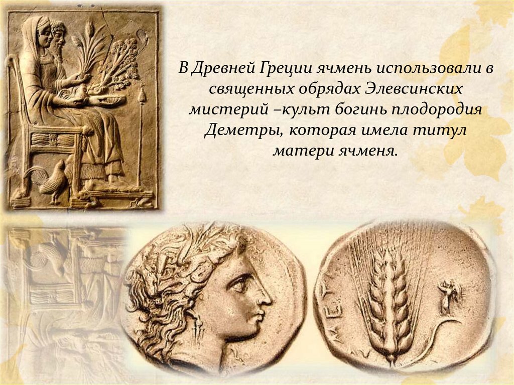 В Древней Греции ячмень использовали в священных обрядах Элевсинских мистерий –культ богинь плодородия Деметры, которая имела