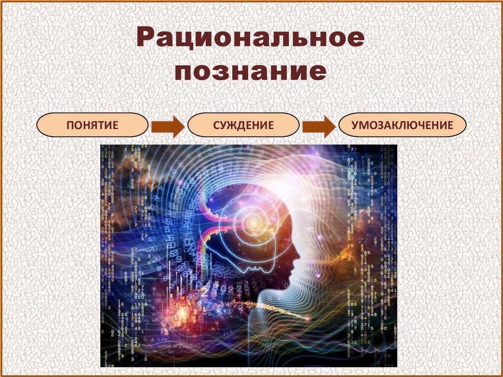 Познание рациональное познание презентация