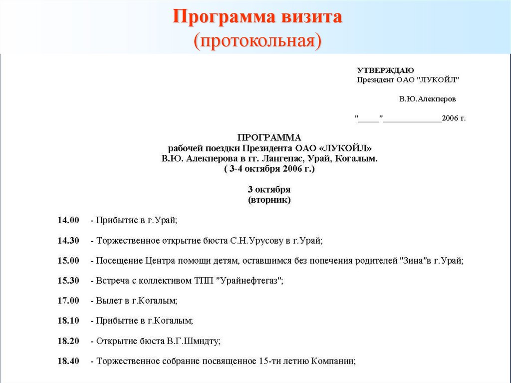 Программа визита делегации образец