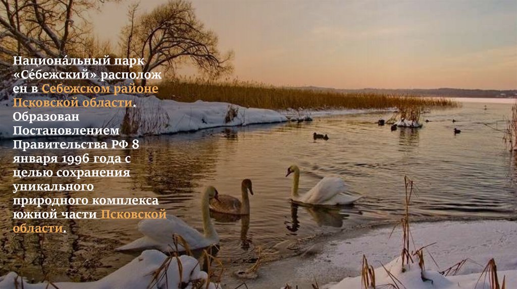 Национа́льный парк «Се́бежский» расположен в Себежском районе Псковской области. Образован Постановлением Правительства РФ 8