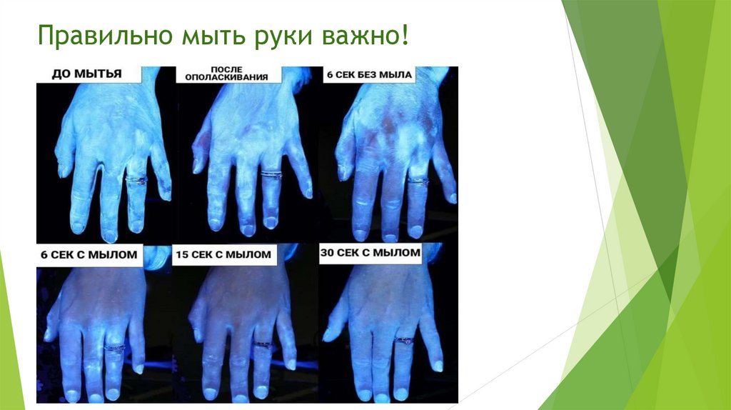 Правильно мыть руки важно!