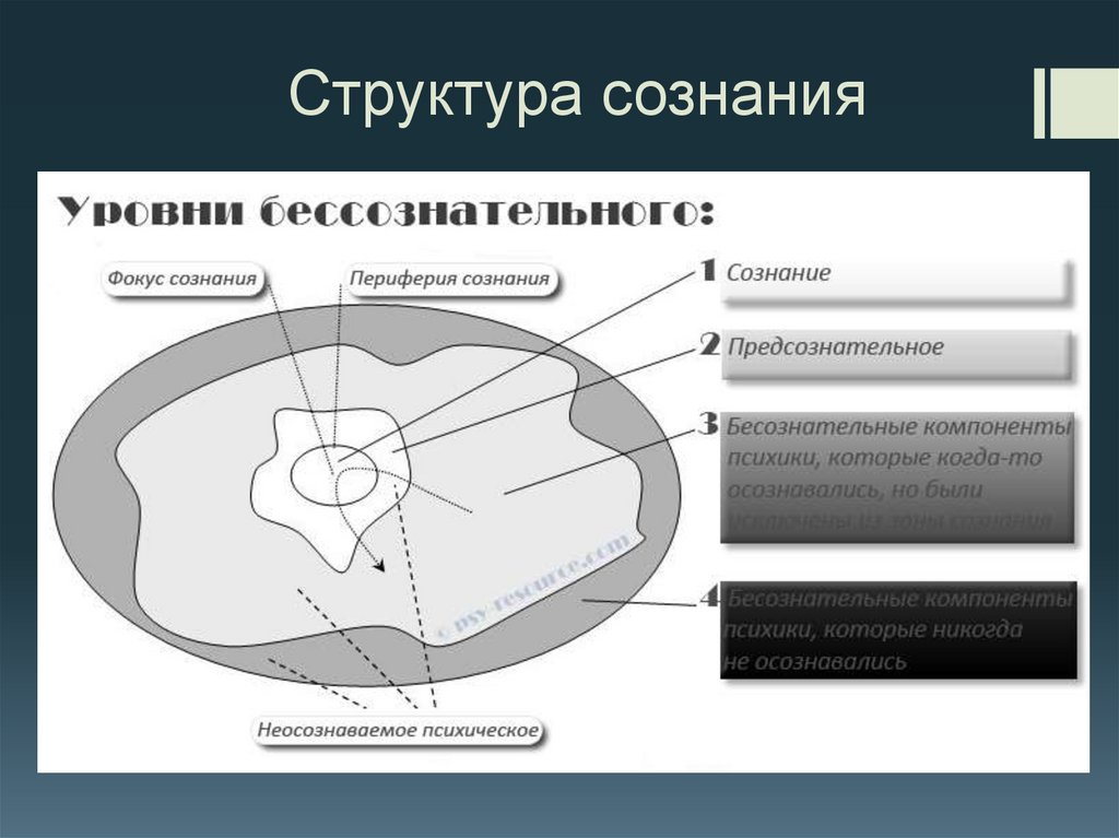 Схема структуры сознания