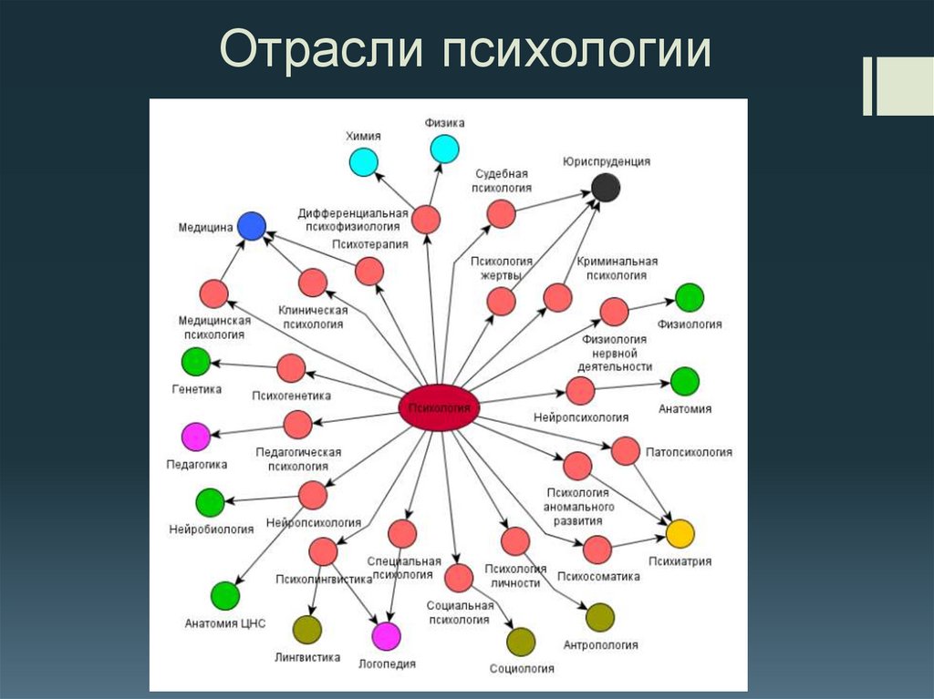Отрасли психологии
