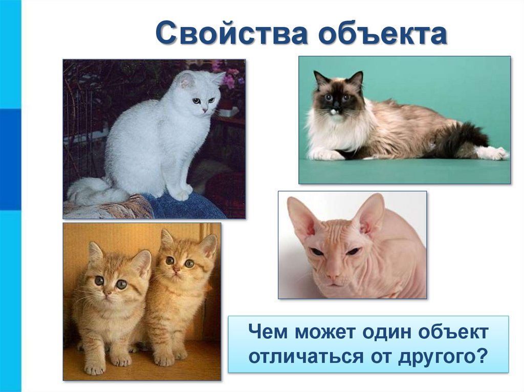 Свойства объекта