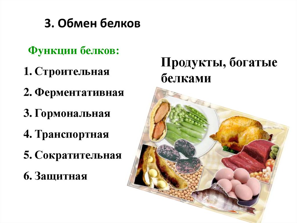 Содержит белков 3 4. Продукты богатые белками. Самые белковые продукты. Пища богатая белком. Самые богатые белком продукты.