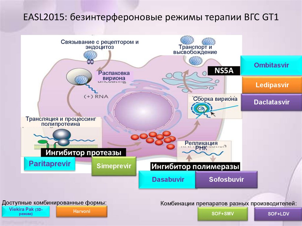 Безинтерфероновые схемы лечения гепатита с