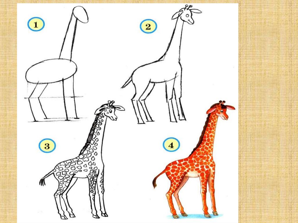 Поэтапное рисование животного 2 класс презентация