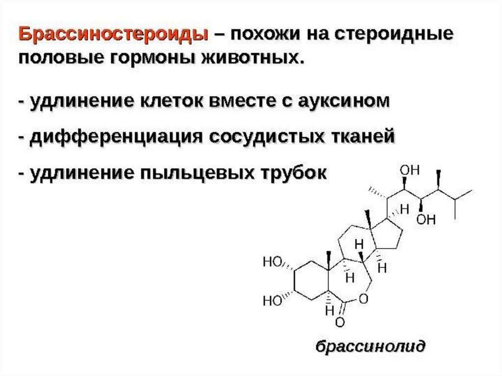 Гормоны животных. Брассиностероиды формула. Брассиностероиды функции. Половые стероидные гормоны. Стероидные гормоны это половые гормоны.