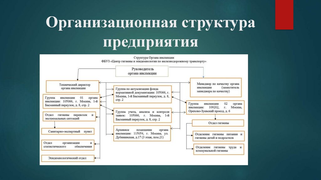 Организационная структура предприятия