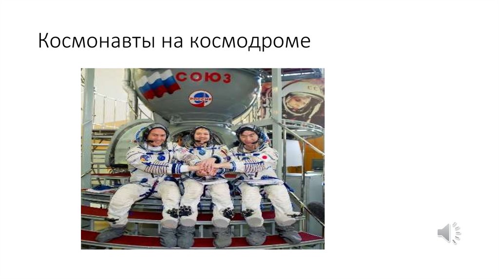 Космонавты на космодроме