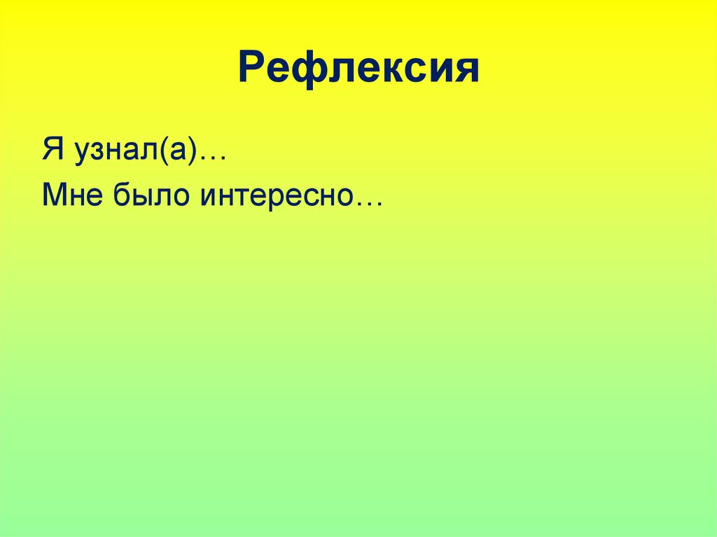 Рефлексия