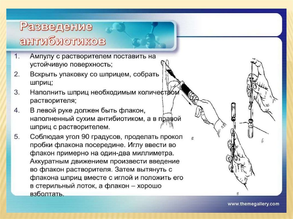 Разведение антибиотиков сестринское дело