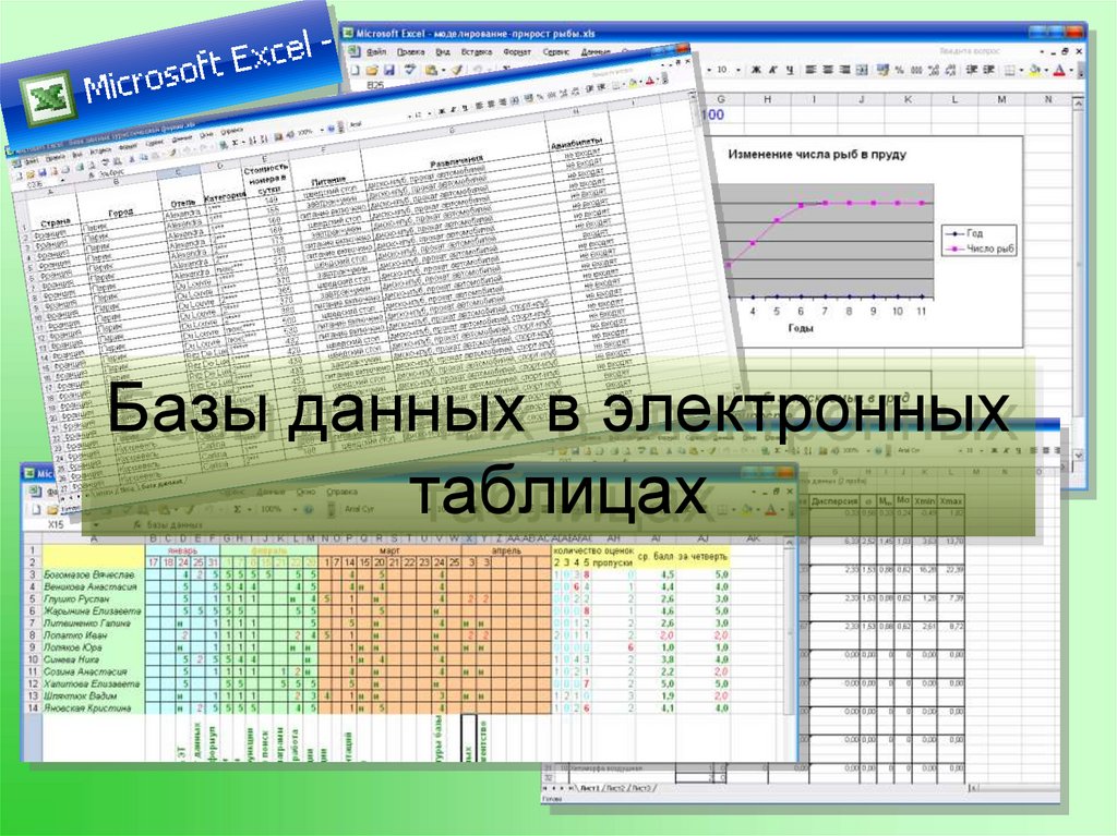 Урок базу. База данных в электронных таблицах. Базы данных в электронных таблицах. Цели электронных таблиц. Как создать базу данных в электронной таблице.