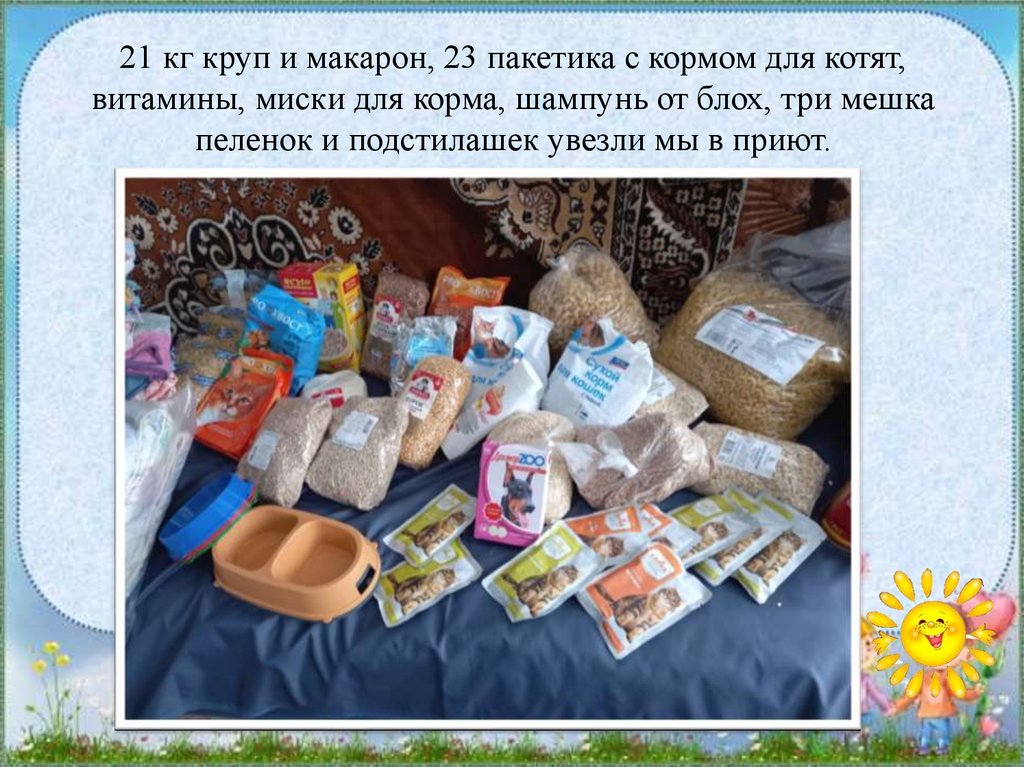 21 кг круп и макарон, 23 пакетика с кормом для котят, витамины, миски для корма, шампунь от блох, три мешка пеленок и
