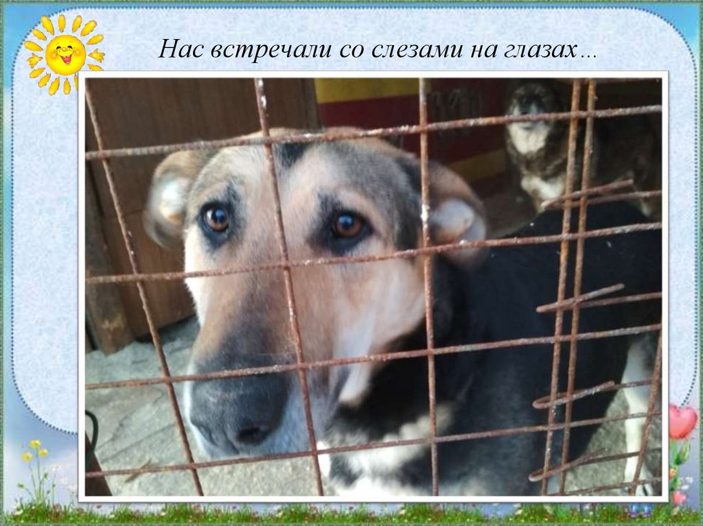 Нас встречали со слезами на глазах…