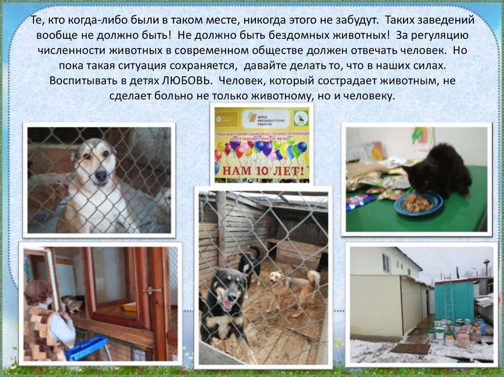 Те, кто когда-либо были в таком месте, никогда этого не забудут. Таких заведений вообще не должно быть! Не должно быть