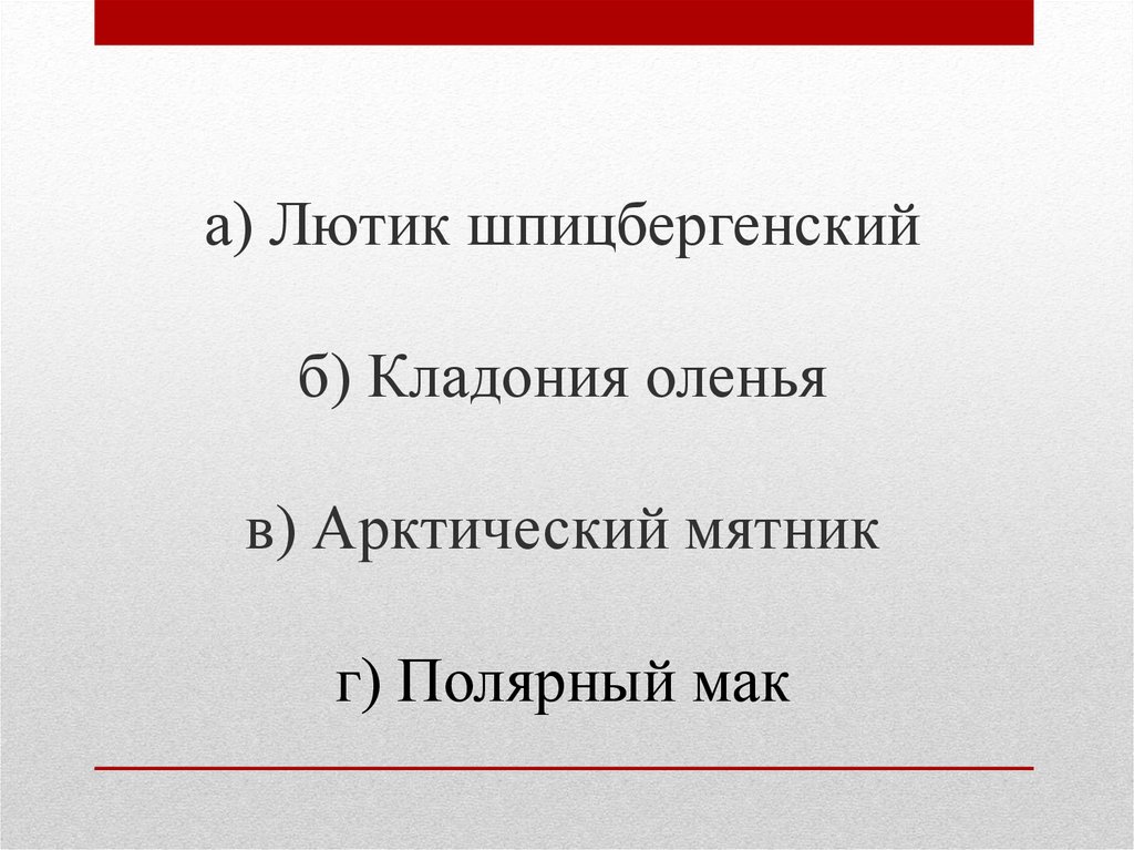 а) Лютик шпицбергенский б) Кладония оленья в) Арктический мятник г) Полярный мак