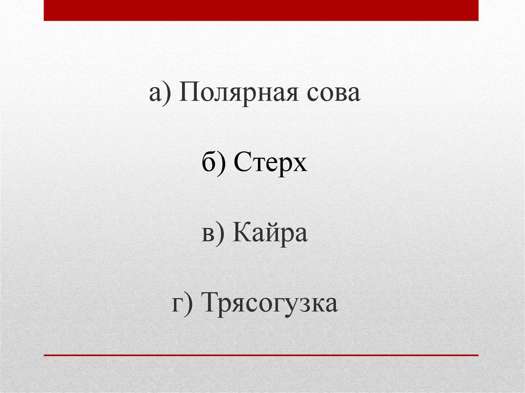 а) Полярная сова б) Стерх в) Кайра г) Трясогузка