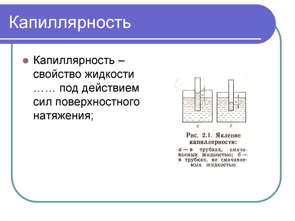 Капиллярность