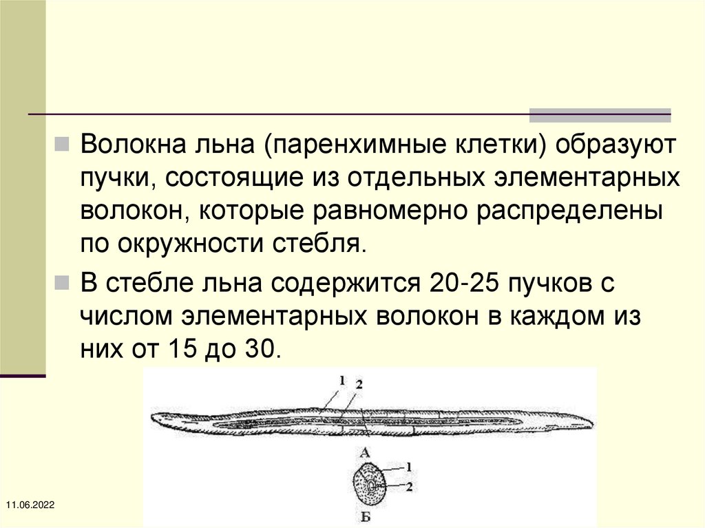 Элементарные волокна. Шерсть элементарное звено.