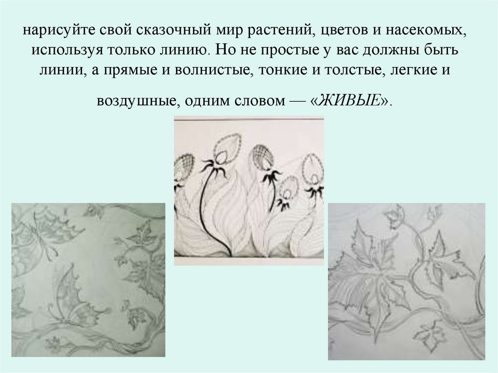 нарисуйте свой сказочный мир растений, цветов и насекомых, используя только линию. Но не простые у вас должны быть линии, а