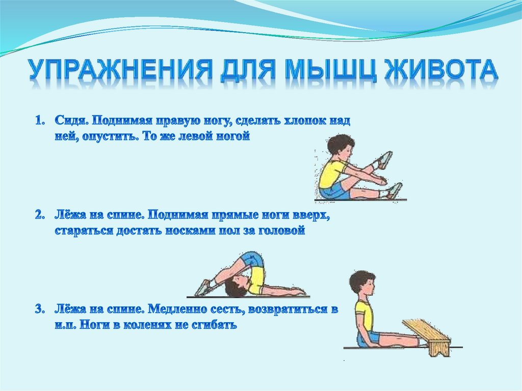 Упражнения для мышц живота