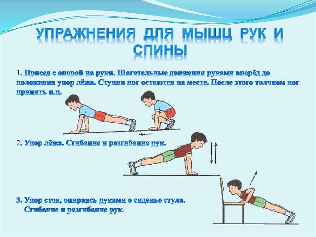 Упражнения для мышц рук и спины