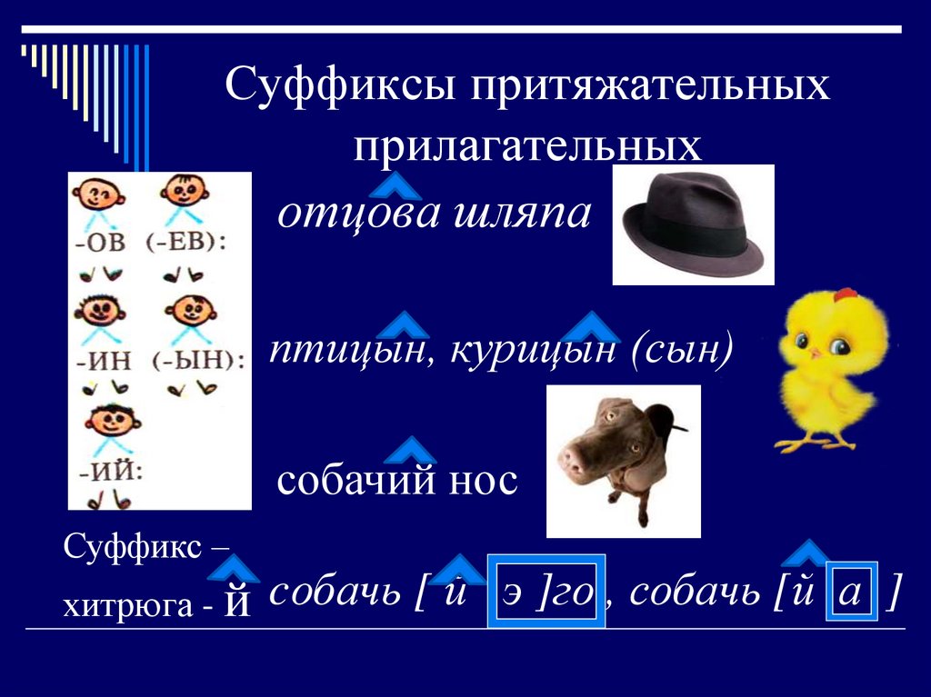 Притяжательные прилагательные. Притяжательные прилагат. Суффиксы притяжательных прилагательных. Притяжательные прилагательные суффиксы.