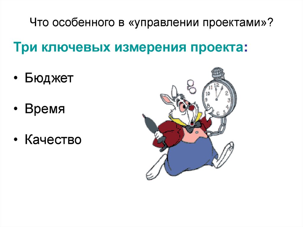 Что особенного в «управлении проектами»?