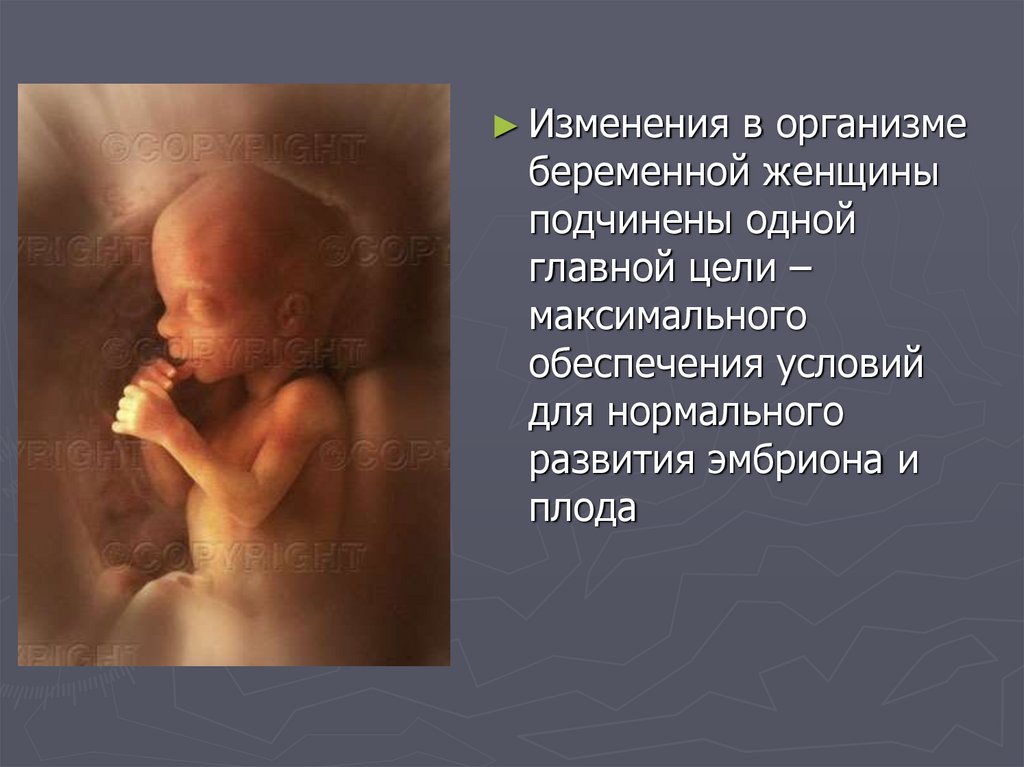 Изменения в организме при беременности. Организм беременной женщины. Беременность изменения. Беременность изменения в организме.