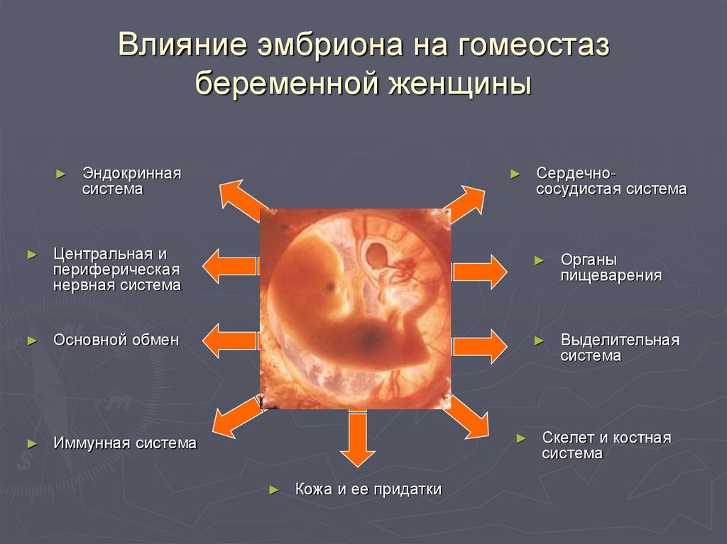 Физиологические изменения беременной. Влияние эмбриона на гомеостаз беременной женщины. Физиологические изменения в организме беременной женщины. Изменения в органах и системах беременной женщины. Изменения в системе органов у беременных.