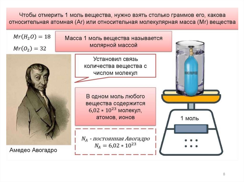 День моли