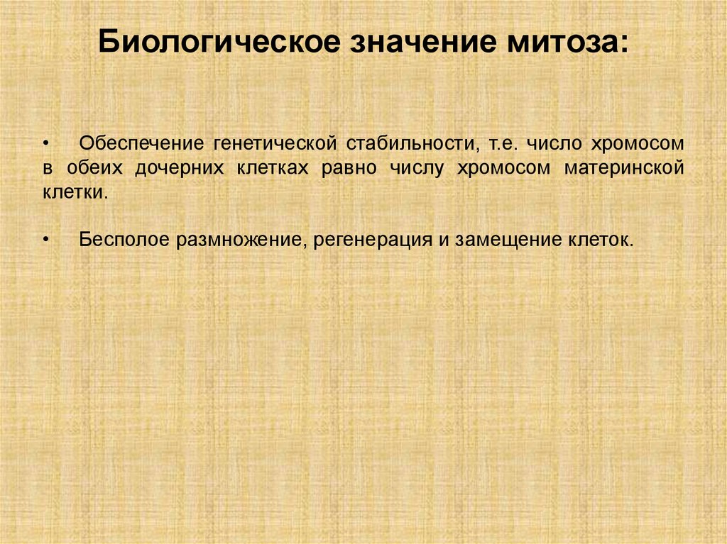 Биологическое значение митоза: