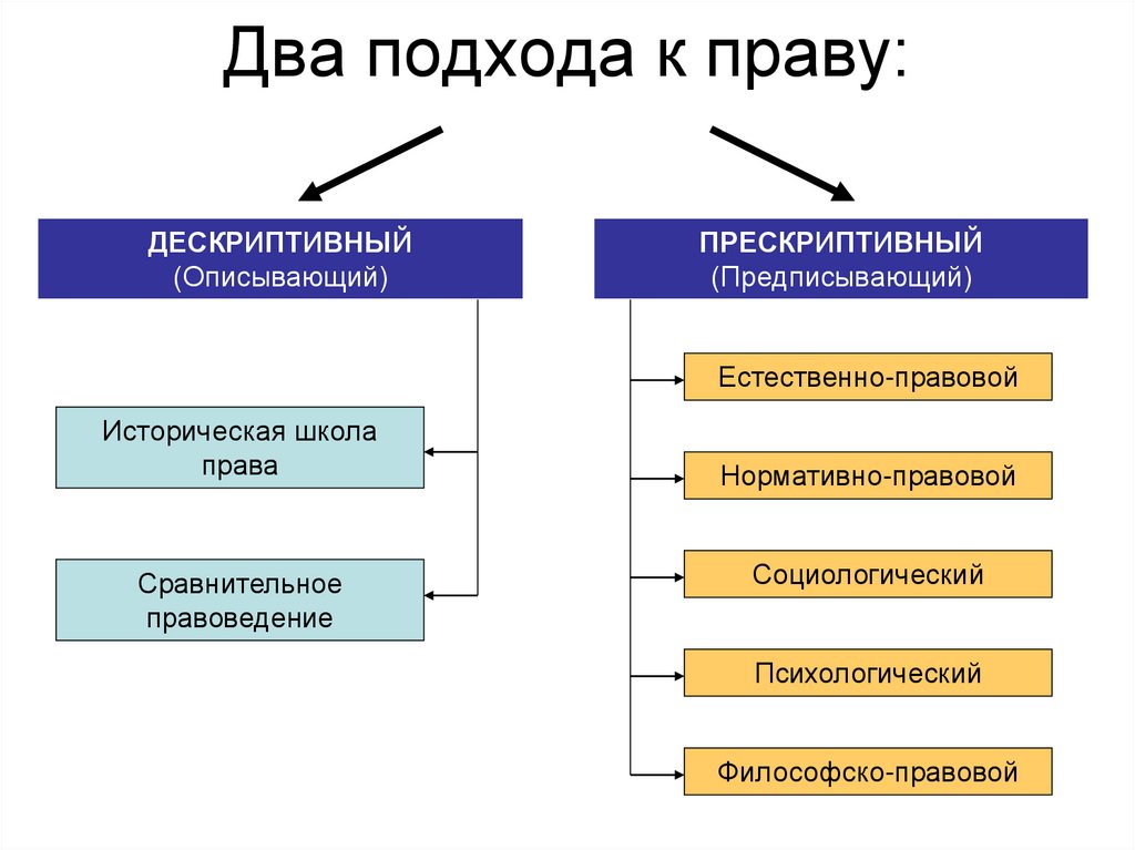 Современные подходы к пониманию права план егэ