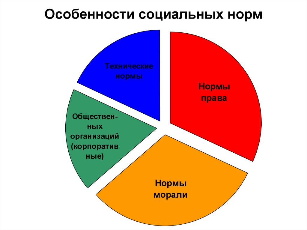 Виды соц норм схема