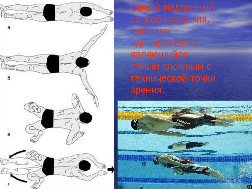 Развитие плавания. Способы плавания. Спортивные способы плавания. Самый медленный способ плавания. Самый древний стиль плавания.
