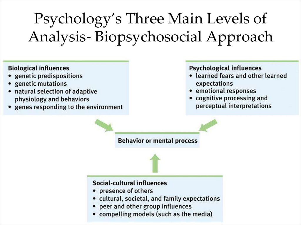Psychology’s Three Main Levels of Analysis- Biopsychosocial Approach