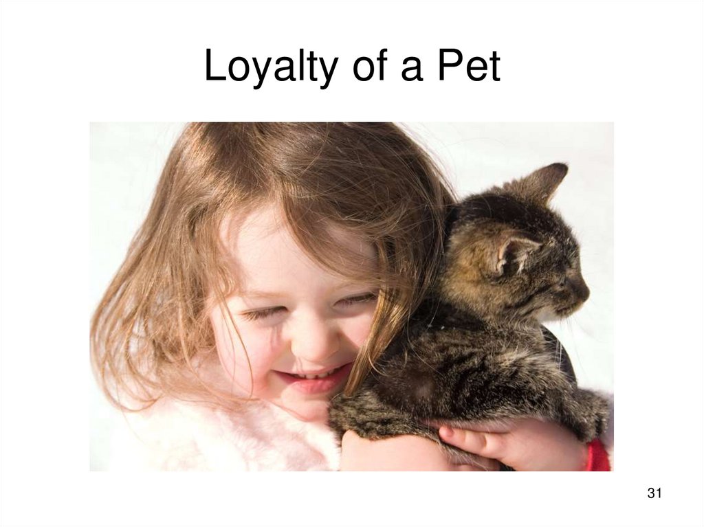 Loyalty of a Pet