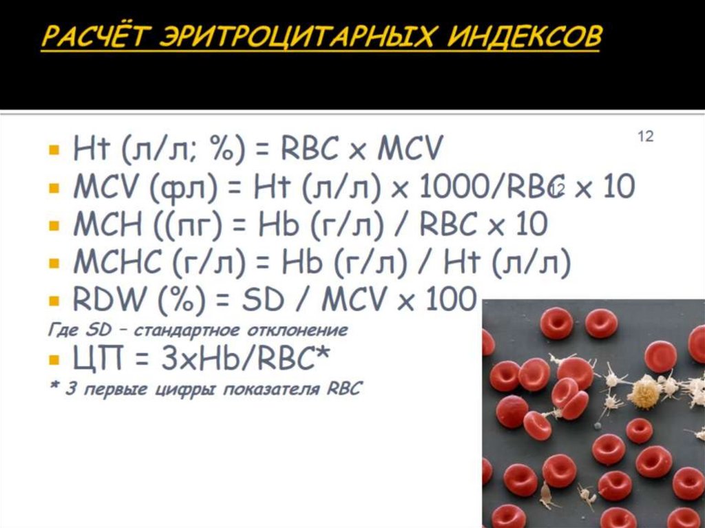 Пониженный объем эритроцита mcv. Пониженный объем эритроцита mcv