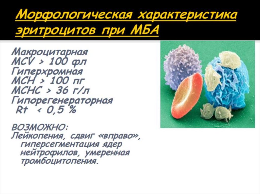 Морфологическая характеристика эритроцитов при МБА