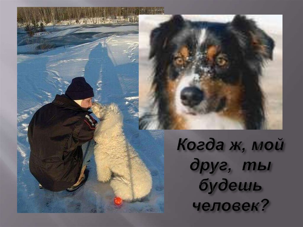 Когда ж, мой друг, ты будешь человек?