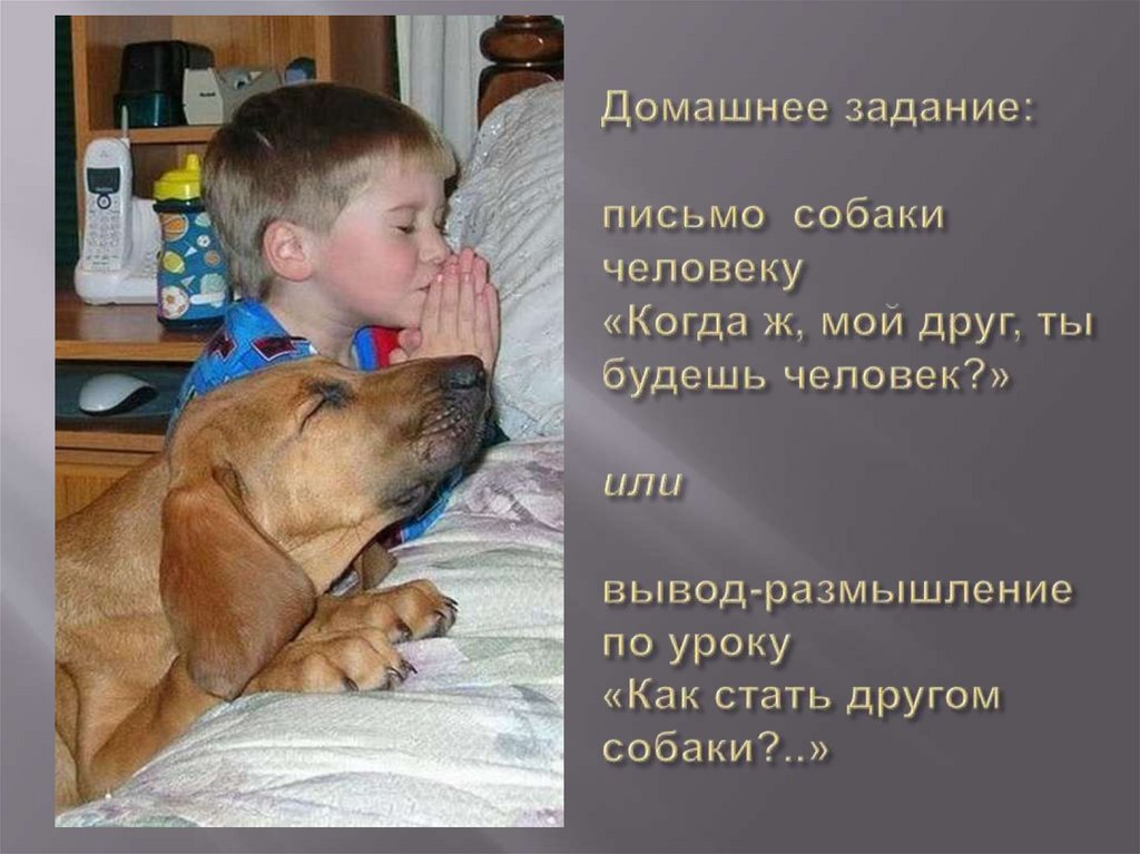 Домашнее задание: письмо собаки человеку «Когда ж, мой друг, ты будешь человек?» или вывод-размышление по уроку «Как стать