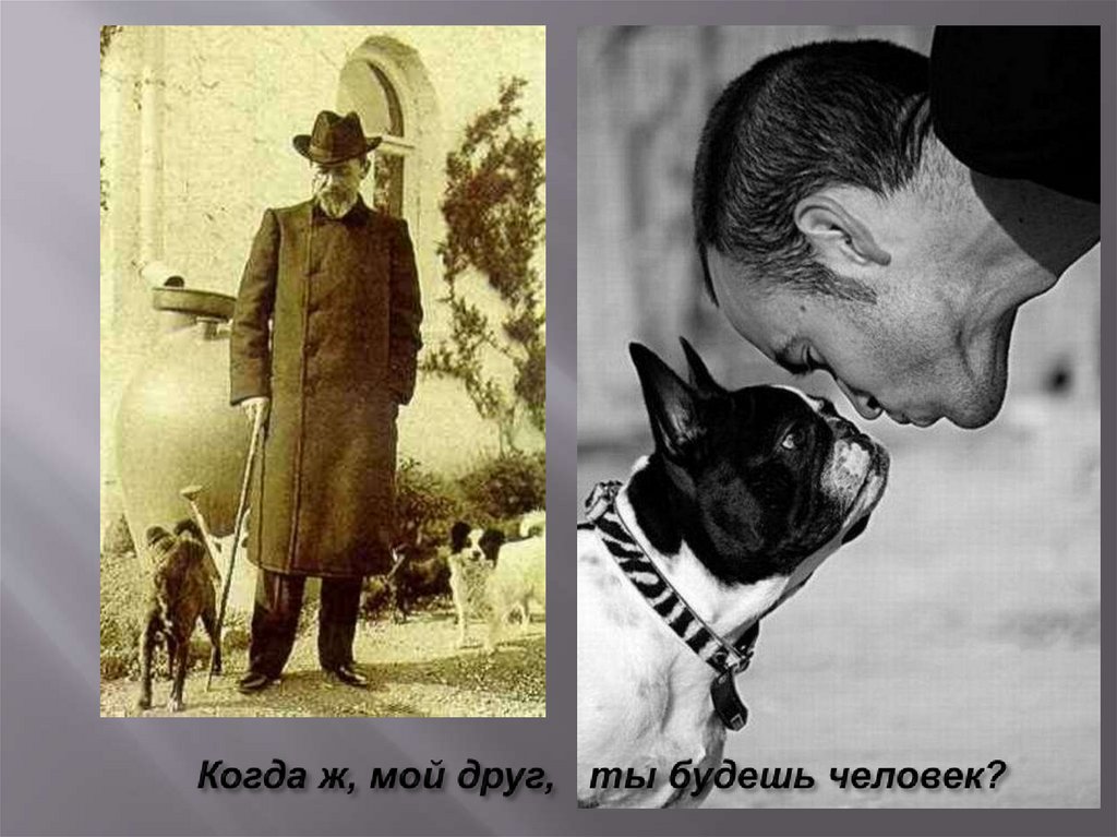 Когда ж, мой друг, ты будешь человек?