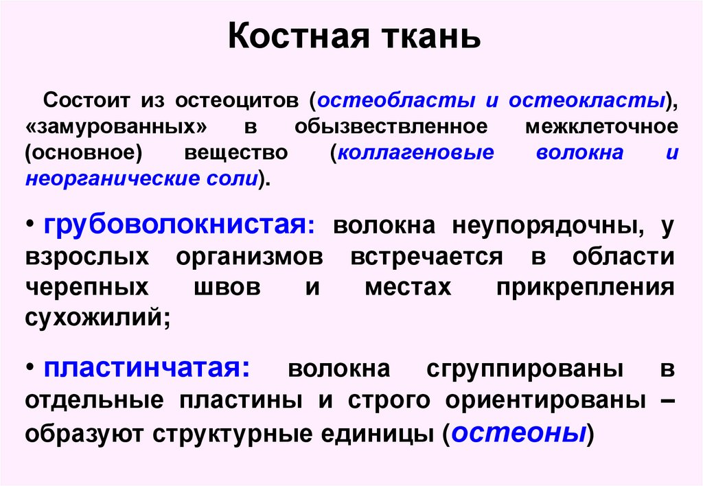 Источник развития скелетных тканей. Обызвествленное межклеточное вещество. Грубоволокнистая ткань функции. Состоит из остеоцитов. Ткань из остеоцитов.