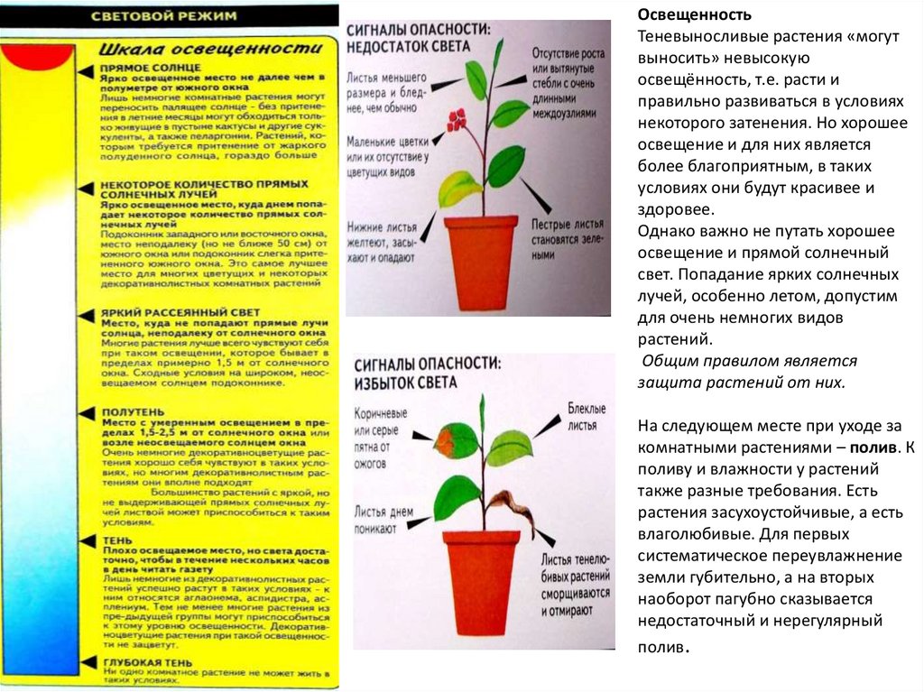 Сколько процентов уникальности должно быть в проекте