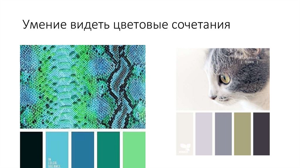 Умение видеть цветовые сочетания