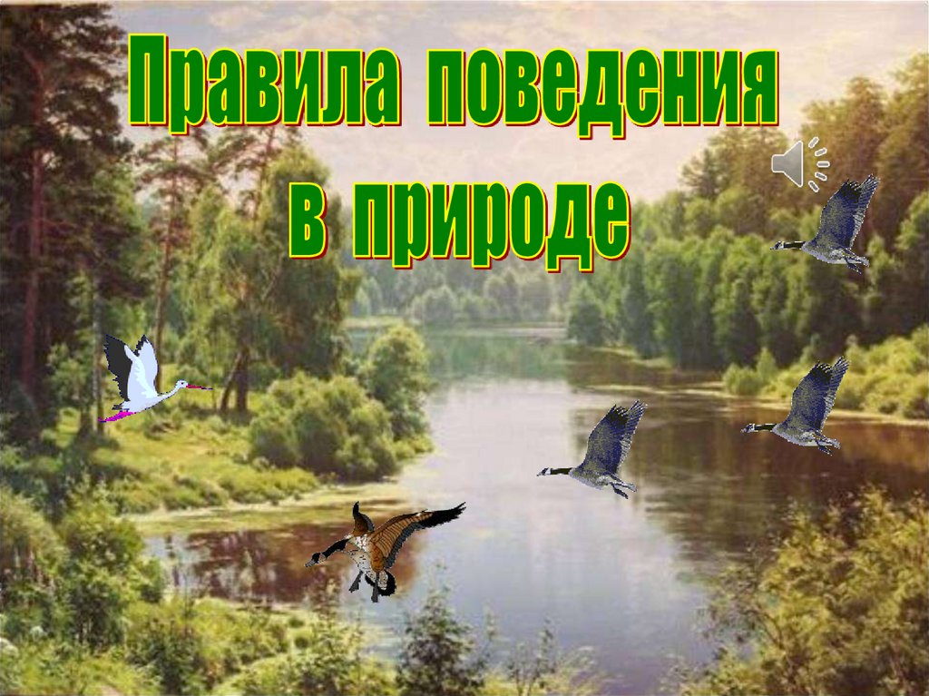 Презентация природа 8 класс